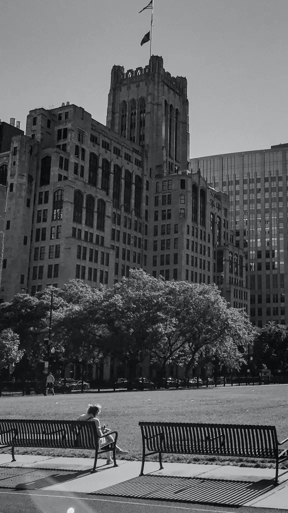 Top 10 best universities to study business in the USA 5 best university to study business